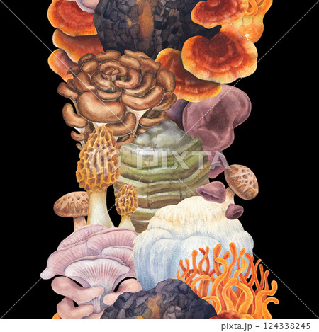Watercolor seamless border of a various medicinal mushrooms 124338245
