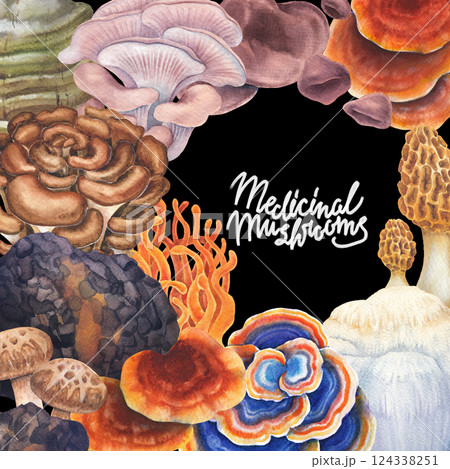 Realistic watercolor medicinal mushrooms isolated on a white background Realistic watercolor medicinal mushrooms isolated on a white background 124338251
