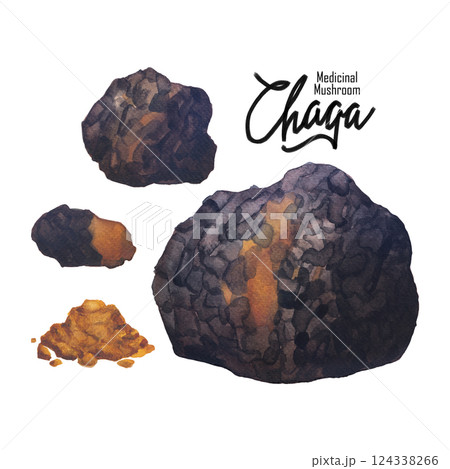 Realistic watercolor Chaga mushrooms isolated on a white background 124338266