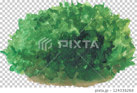 Realistic watercolor moss piece isolated on a white background Realistic watercolor moss piece isolated on a white background 124338268