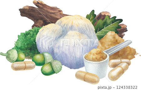 Watercolor Lion's Mane mushroom surrounded with a pills and powder, log, moss, oak leaves and acorns. 124338322