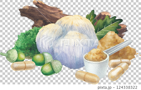 Watercolor Lion's Mane mushroom surrounded with a pills and powder, log, moss, oak leaves and acorns. 124338322