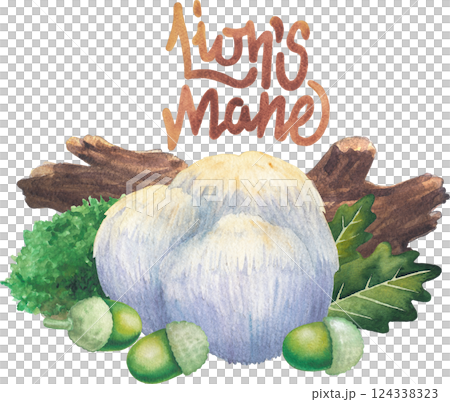 Watercolor Lion's Mane mushroom surrounded with a log, moss, oak leaves and acorns 124338323