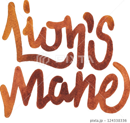 Lion's mane. A hand-written watercolor lettering isolated on a white background Lion's mane. A hand-written watercolor lettering isolated on a white background 124338336