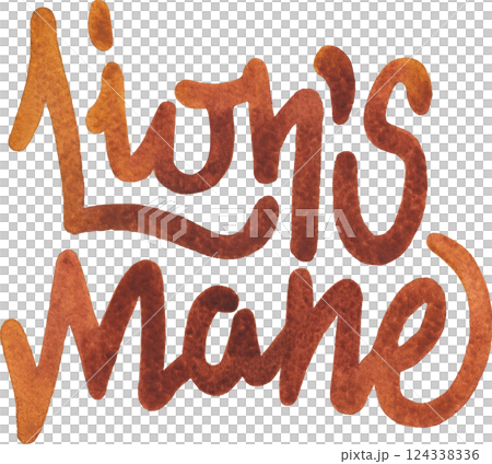 Lion's mane. A hand-written watercolor lettering isolated on a white background Lion's mane. A hand-written watercolor lettering isolated on a white background 124338336