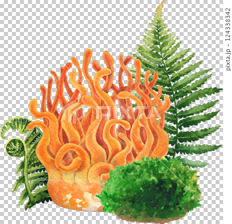 Realistic watercolor Cordyceps mushroom decorated with fern leaves and moss isolated on a white background Realistic watercolor Cordyceps mushroom decorated with fern leaves and moss isolated on a white background 124338342