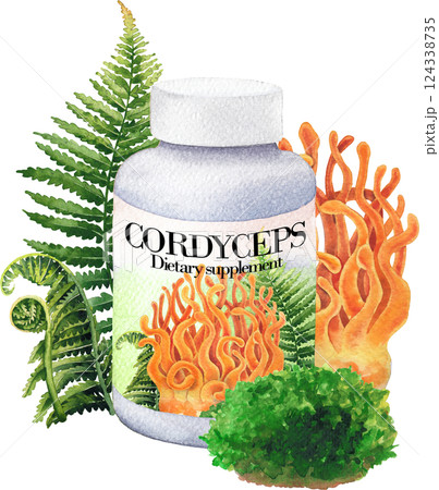 Realistic watercolor plastic bottle of a Cordyceps mushroom supplement decorated with fern leaves and moss 124338735
