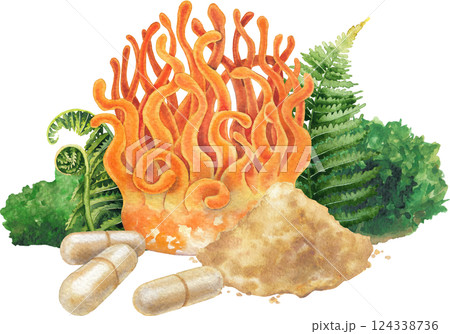 Watercolor Cordyceps mushroom surrounded with a moss, fern leaves, pills and powder 124338736