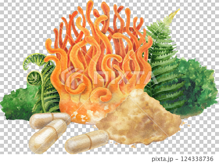 Watercolor Cordyceps mushroom surrounded with a moss, fern leaves, pills and powder 124338736