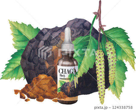 Realistic watercolor glass bottle of a Chaga extract decorated with mushroom, Birch leaves, catkins and powder 124338758