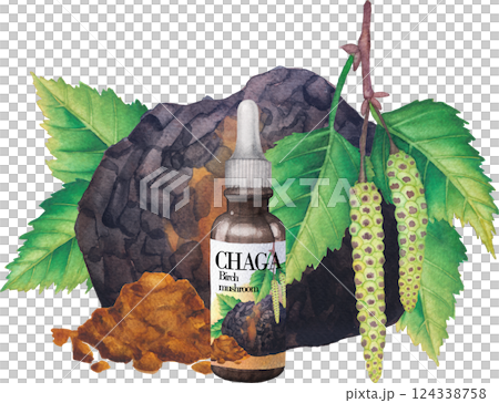 Realistic watercolor glass bottle of a Chaga extract decorated with mushroom, Birch leaves, catkins and powder 124338758