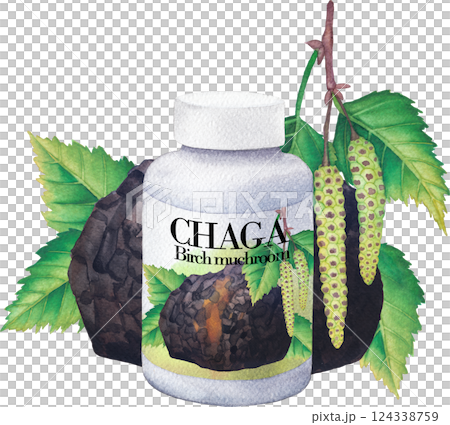 Realistic watercolor plastic bottle of a Chaga mushroom supplement decorated with Birch leaves and catkins. 124338759