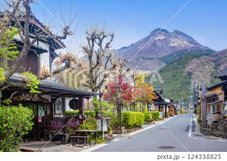湯布院　湯の坪街道 124338825