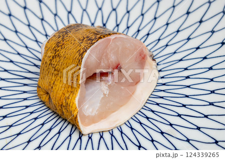 うつぼの切り身の素材写真 うつぼの切り身の素材写真 124339265