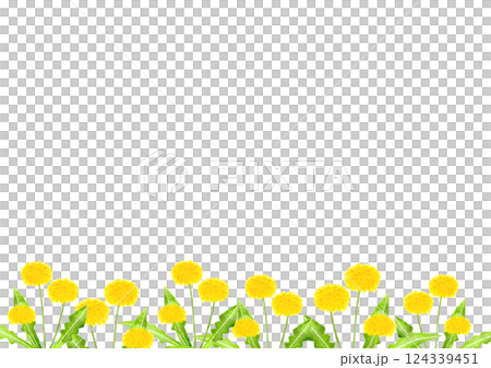 Watercolor dandelion illustration Watercolor dandelion illustration 124339451