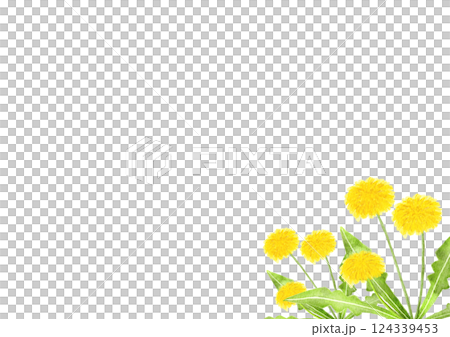 Watercolor dandelion illustration 124339453