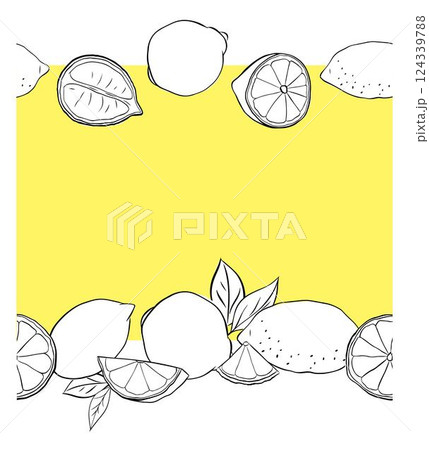 Lemons cut, slices and whole seamless horizontal border frame. black and white Citrus lemons line graphic ink vector art. Template for food design, recipe, cook book, packages, menu, food ads Lemons cut, slices and whole seamless horizontal border frame. black and white Citrus lemons line graphic ink vector art. Template for food design, recipe, cook book, packages, menu, food ads 124339788