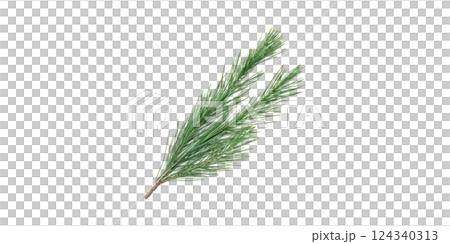 Pine Branch. Nature And Botanical Elements For Design Isolated On Transparent Background 124340313