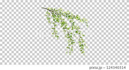 Greenery Branch With Fresh Leaves. Nature And Botanical Design Element Isolated On Transparent Background 124340314