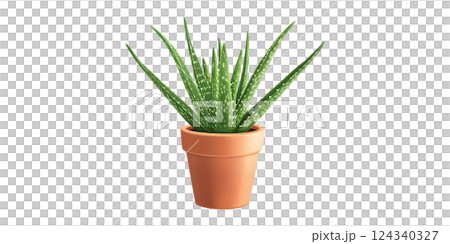 Aloe Vera Plant In Terracotta Pot. Natural Skincare And Indoor Air Purification Isolated On Transparent Background 124340327
