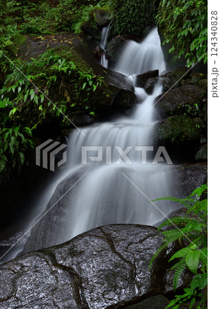 自然 天然 ナチュラル 124340828