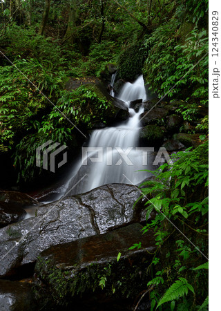 自然 天然 ナチュラル 124340829