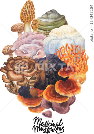 Realistic watercolor medicinal mushrooms isolated on a white background 124342184