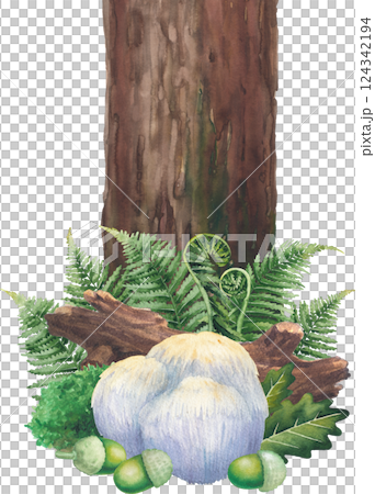 Watercolor Lion's Mane mushroom surrounded with a log, moss, oak and fern leaves, acorns. Watercolor Lion's Mane mushroom surrounded with a log, moss, oak and fern leaves, acorns. 124342194