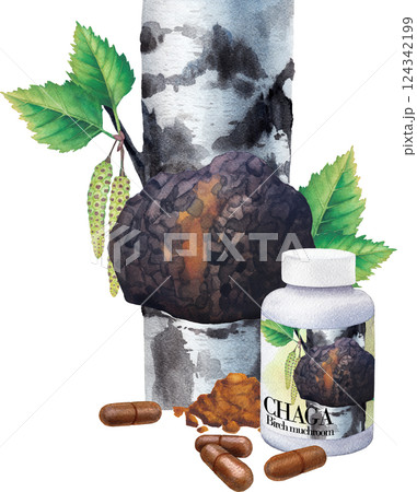 Realistic watercolor plastic bottle of a Chaga supplement decorated with pills, powder and Mushroom on a Birch tree Realistic watercolor plastic bottle of a Chaga supplement decorated with pills, powder and Mushroom on a Birch tree 124342199