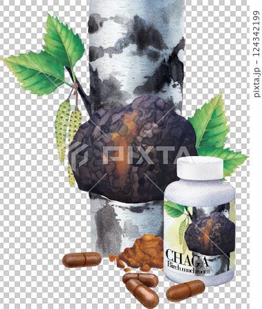 Realistic watercolor plastic bottle of a Chaga supplement decorated with pills, powder and Mushroom on a Birch tree 124342199