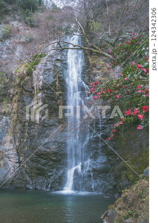 [箕面の滝]冬シーズンの景色 124342306
