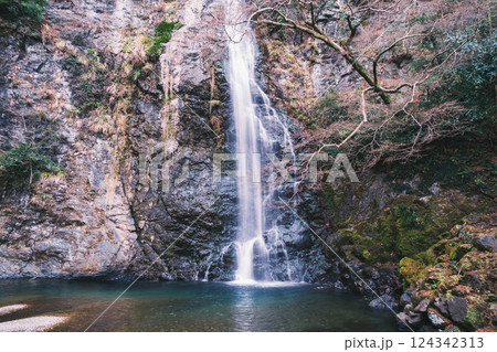 [箕面の滝]冬シーズンの景色 124342313