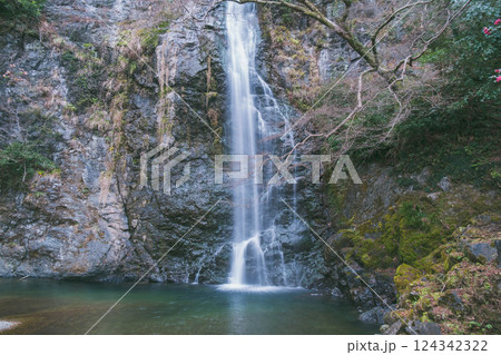 [箕面の滝]冬シーズンの景色 124342322