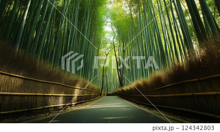 竹林の小径：京都の静けさと自然美 124342803