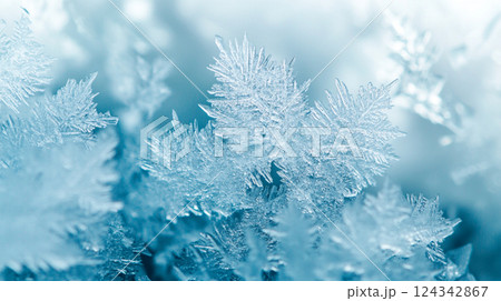 美しい雪の結晶のクローズアップマクロ写真 124342867