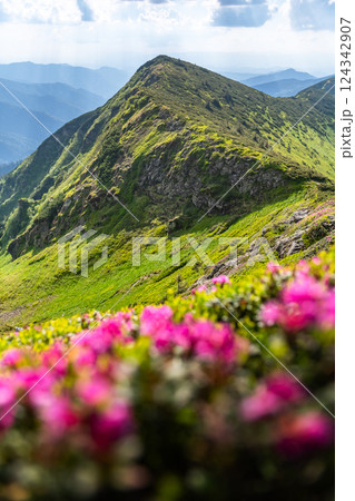 Scenic nature landscape with green mountain peaks Scenic nature landscape with green mountain peaks 124342907