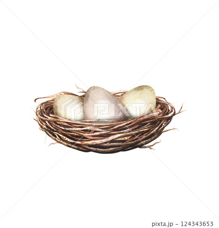 A bird nest with eggs. Spring and Easter symbol. Hand drawn watercolor illustration isolated on white background. For clip art cards invitation label package 124343653