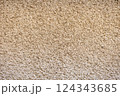 搔き落としの日本建築の土壁 124343685