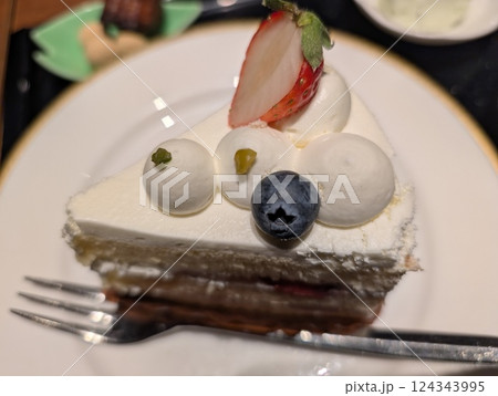 イチゴショートケーキ 124343995