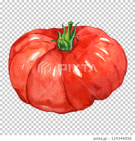 Red watercolor tomato on a white background. Large ripe summer tomato. Ingredient for Italian pasta. 124344056