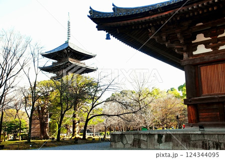 京都府 東寺・五重塔(国宝) 京都市 南区 九条町 2022年2月 京都府 東寺・五重塔(国宝) 京都市 南区 九条町 2022年2月 124344095