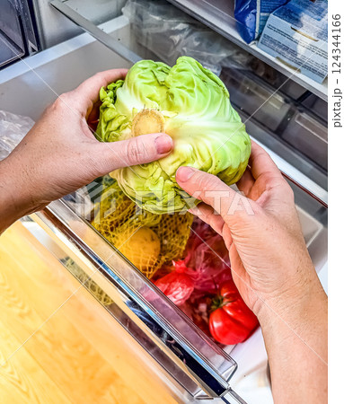 Person Holding Savoy Cabbage in Refrigerator, Fresh Produce, Healthy Eating, Kitchen, Food Storage. High quality photo Person Holding Savoy Cabbage in Refrigerator, Fresh Produce, Healthy Eating, Kitchen, Food Storage. High quality photo 124344166
