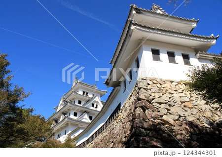 郡上八幡城 124344301