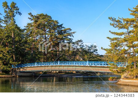 天橋立の大天橋と松林 天橋立の大天橋と松林 124344383