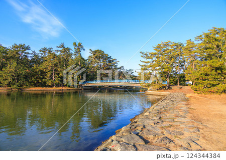 天橋立の大天橋と松林 124344384