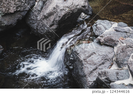 [箕面の滝]きれいな小川 124344616
