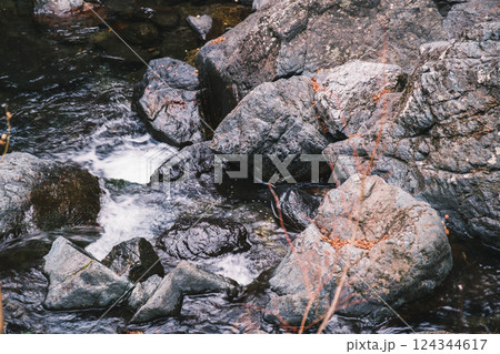 [箕面の滝]きれいな小川 124344617
