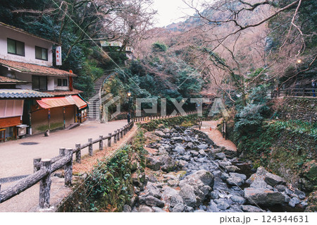 [箕面の滝]自然豊かな風景 124344631