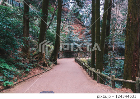 [箕面の滝]自然豊かな風景 124344633