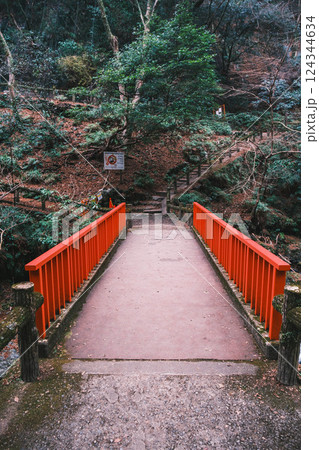 [箕面の滝]自然豊かな風景 124344634